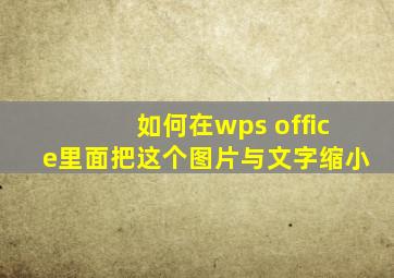 如何在wps office里面把这个图片与文字缩小